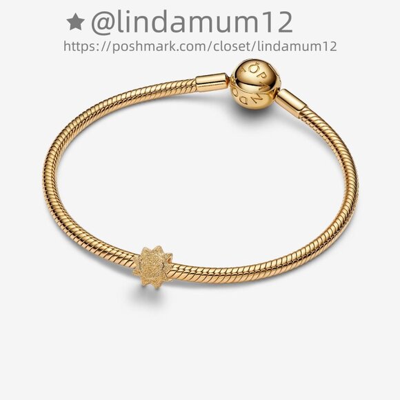 Pandora Textured Sun Mini Charm - Picture 3 of 5